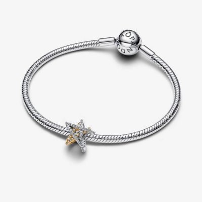 Star silver 14K G.Pl. charm zirk