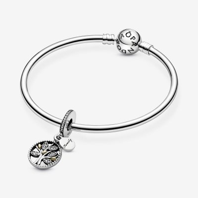 Pandora Bedel 791728CZ 