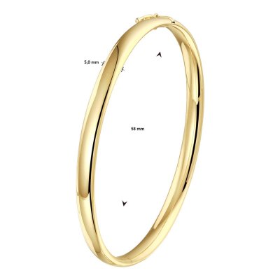 Bangle scharnier ovale buis 5,0 mm