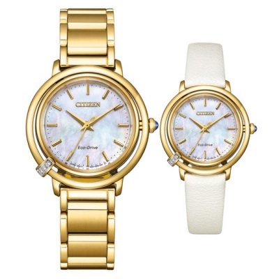 Citizen horloge EM1092-64D