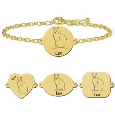 Gouden armband kat gewone huiskat/Vuilnisbakkenras kat 