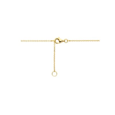 Gouden hanger fantasie druppel incl. collier