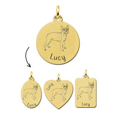 Gouden honden hanger Boston Terrier 