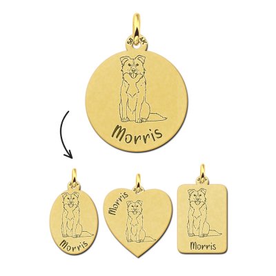 Gouden honden ketting met naam Border Collie 