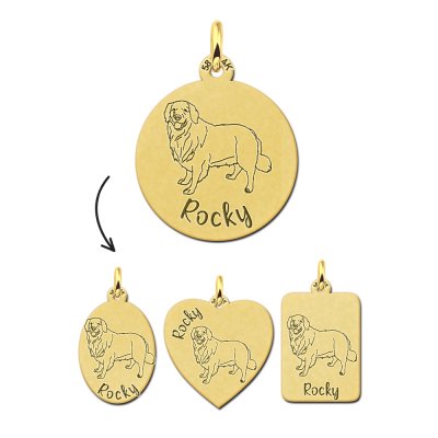 Gouden naam ketting met hond Golden Retriever 