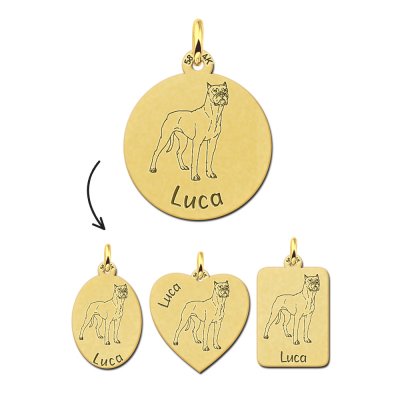 Gouden personaliseerde honden hanger Boxer 