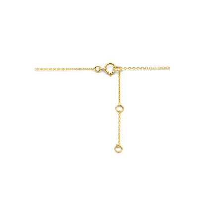 Gouden hanger met collier