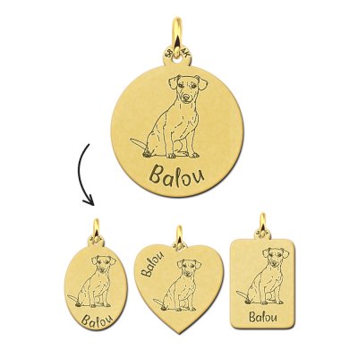 Personaliseerde gouden honden naamketting Jack Russel Terrier 